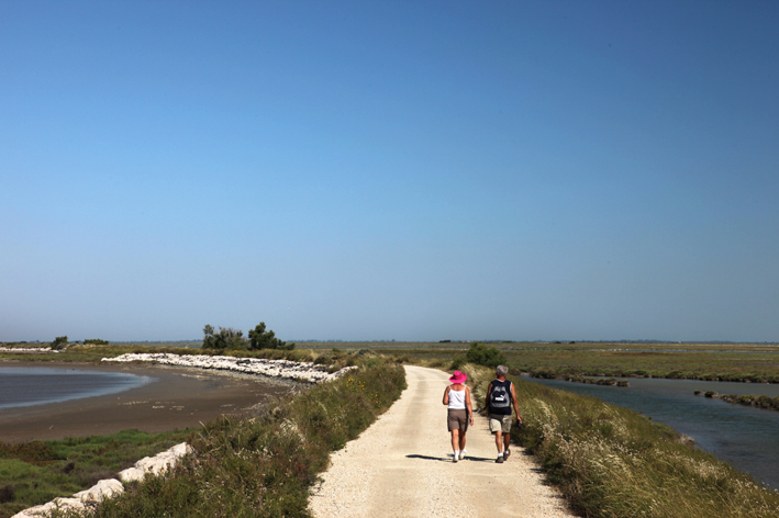 Ballade en Camargue