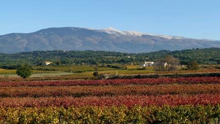 Le Mont-Ventoux, Vincent Thomann